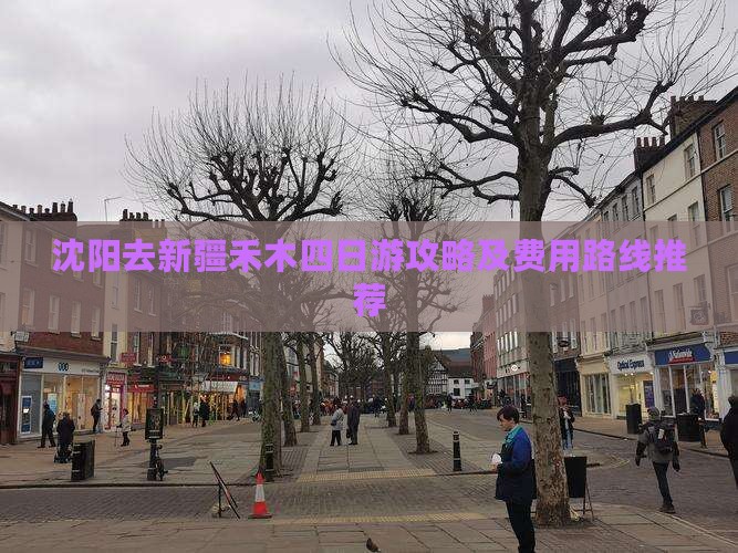 沈阳去新疆禾木四日游攻略及费用路线推荐