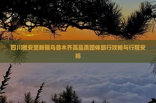 四川雅安至新疆乌鲁木齐高品质团体旅行攻略与行程安排