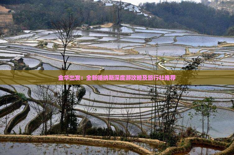 金华出发：全新喀纳斯深度游攻略及旅行社推荐