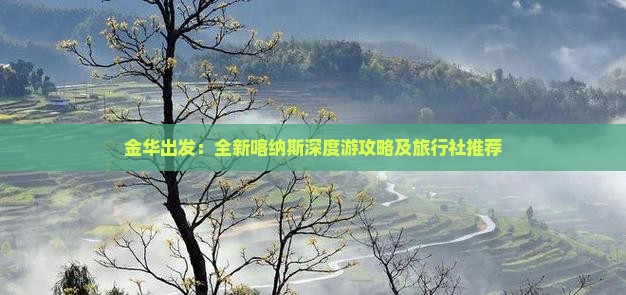 金华出发：全新喀纳斯深度游攻略及旅行社推荐