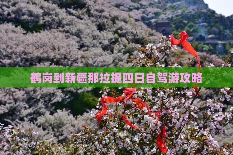鹤岗到新疆那拉提四日自驾游攻略