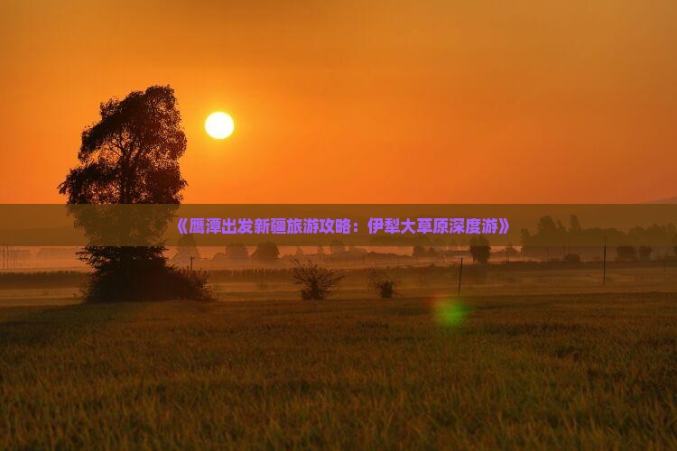 《鹰潭出发新疆旅游攻略：伊犁大草原深度游》