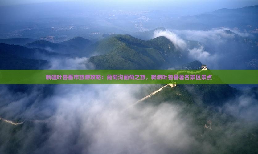 新疆吐鲁番市旅游攻略：葡萄沟葡萄之旅，畅游吐鲁番著名景区景点