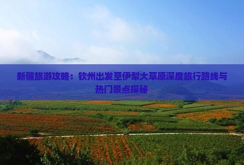 新疆旅游攻略：钦州出发至伊犁大草原深度旅行路线与热门景点探秘