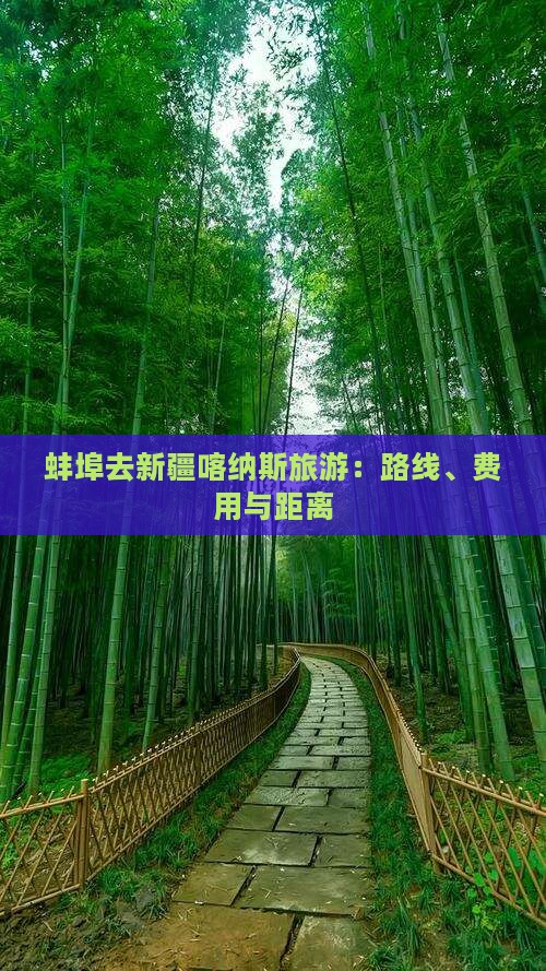 蚌埠去新疆喀纳斯旅游：路线、费用与距离