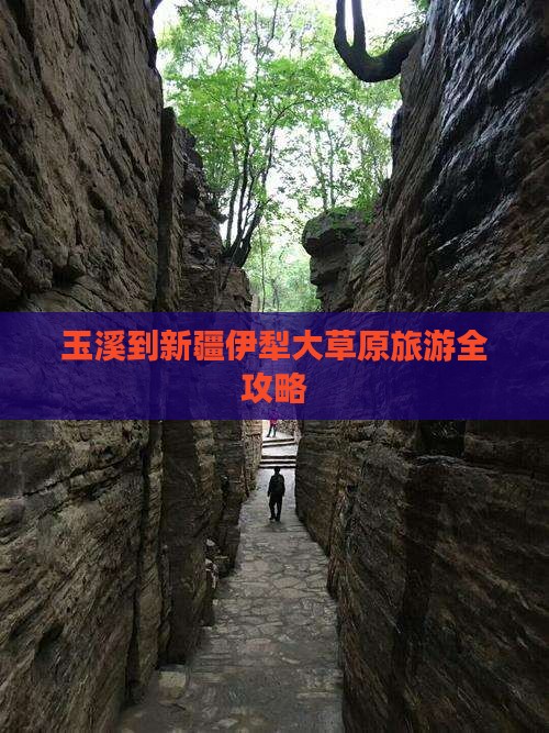 玉溪到新疆伊犁大草原旅游全攻略