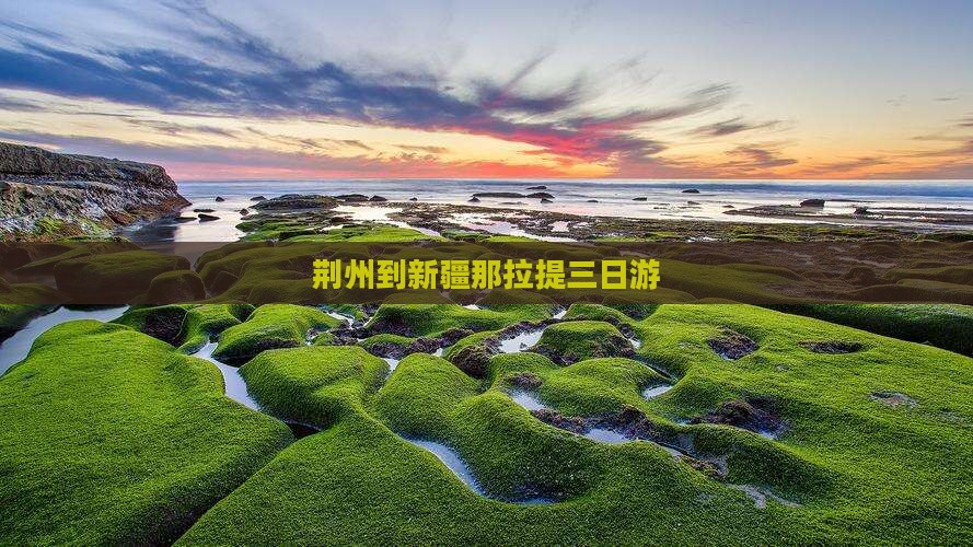 荆州到新疆那拉提三日游