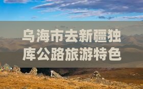 乌海市去新疆独库公路旅游特色小吃攻略