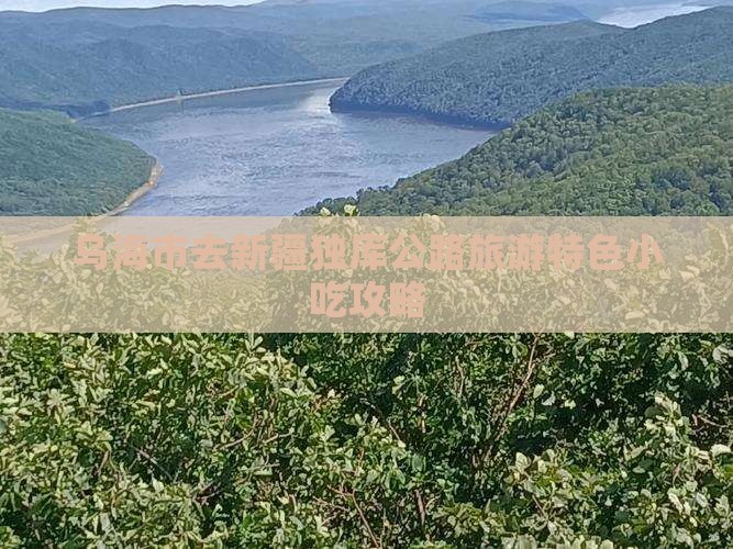 乌海市去新疆独库公路旅游特色小吃攻略