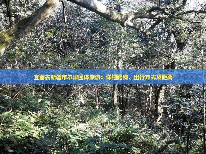 宜春去新疆布尔津团体旅游：详细路线、出行方式及距离