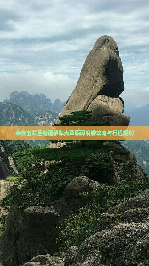 泰安出发至新疆伊犁大草原深度游攻略与行程规划