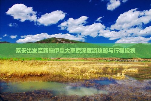 泰安出发至新疆伊犁大草原深度游攻略与行程规划