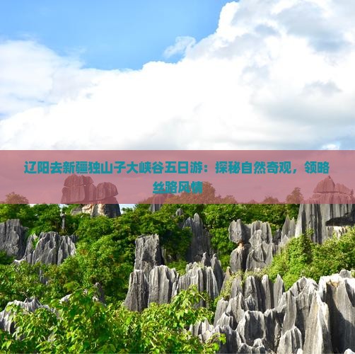 辽阳去新疆独山子大峡谷五日游：探秘自然奇观，领略丝路风情