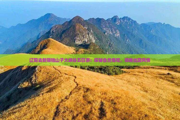 辽阳去新疆独山子大峡谷五日游：探秘自然奇观，领略丝路风情