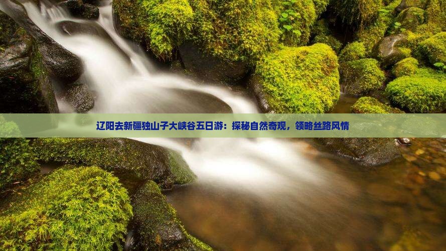 辽阳去新疆独山子大峡谷五日游：探秘自然奇观，领略丝路风情