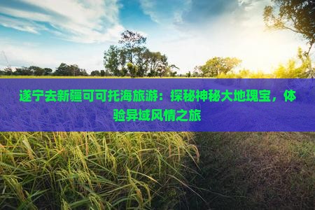 遂宁去新疆可可托海旅游：探秘神秘大地瑰宝，体验异域风情之旅