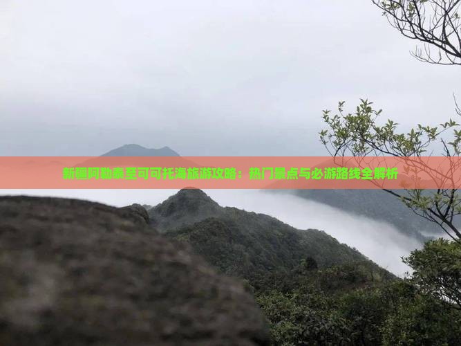 新疆阿勒泰至可可托海旅游攻略：热门景点与必游路线全解析