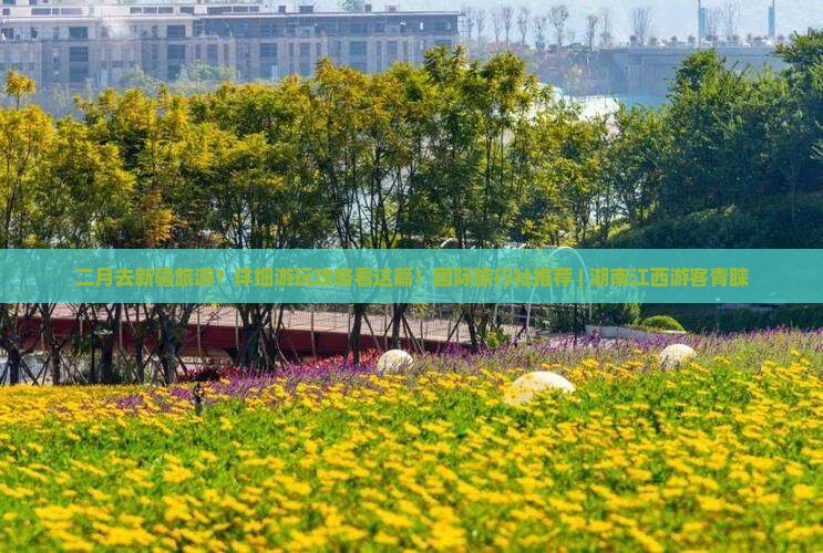 二月去新疆旅游？详细游玩攻略看这篇！国际旅行社推荐 | 湖南江西游客青睐