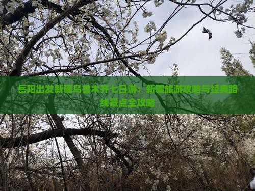 岳阳出发新疆乌鲁木齐七日游：新疆旅游攻略与经典路线景点全攻略