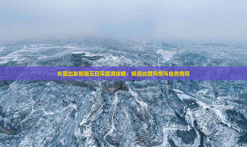 东营出发新疆五日深度游攻略：畅游丝路风情与自然奇观