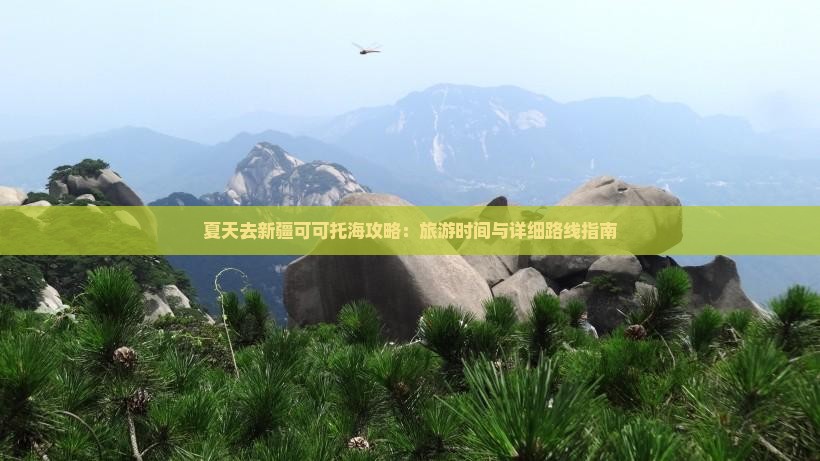夏天去新疆可可托海攻略：旅游时间与详细路线指南