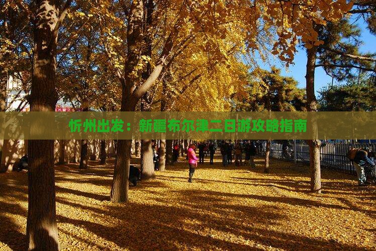 忻州出发：新疆布尔津二日游攻略指南
