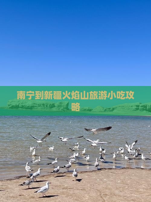 南宁到新疆火焰山旅游小吃攻略