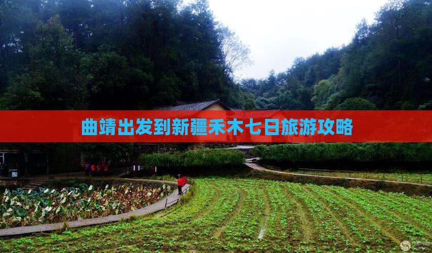 曲靖出发到新疆禾木七日旅游攻略