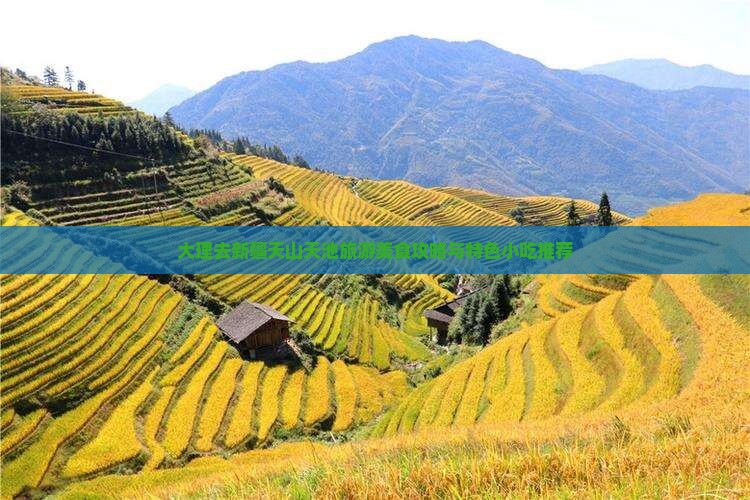 大理去新疆天山天池旅游美食攻略与特色小吃推荐