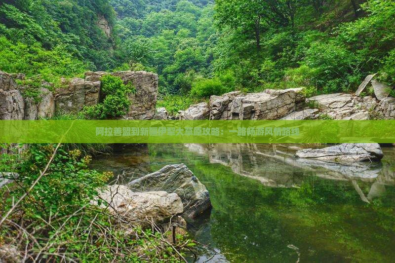 阿拉善盟到新疆伊犁大草原攻略：一路畅游风情路线