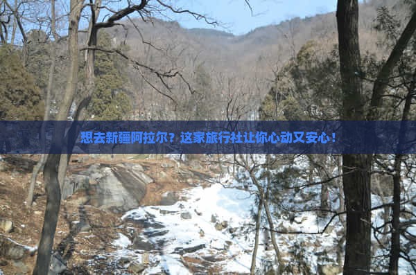 阿拉尔去新疆旅行社
