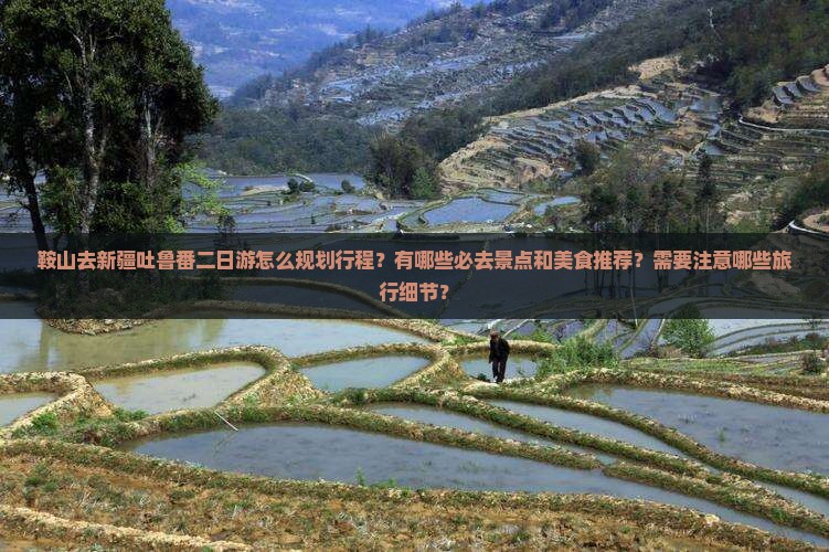 鞍山去新疆吐鲁番二日游