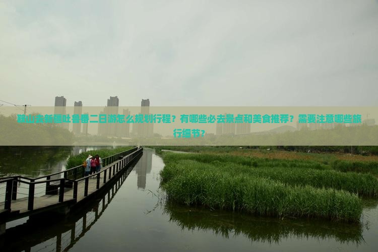 鞍山去新疆吐鲁番二日游