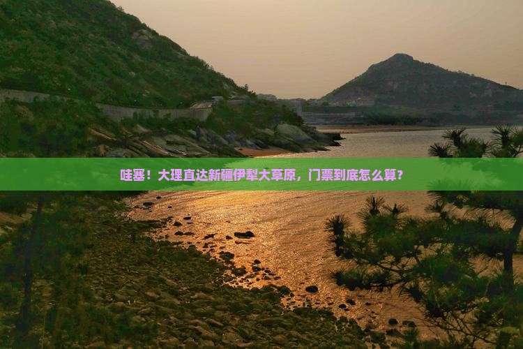 大理到新疆伊犁大草原门票