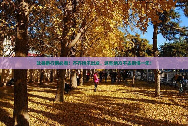 齐齐哈尔去新疆吐鲁番必去地