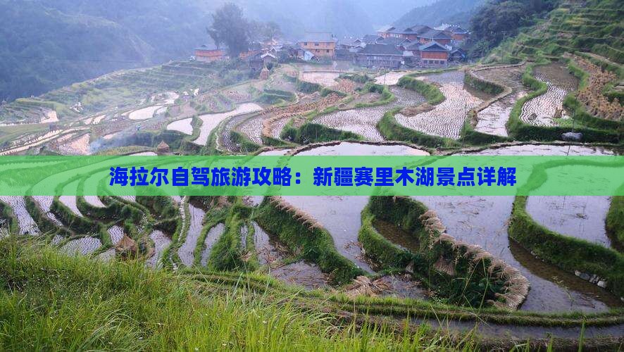 海拉尔去新疆赛里木湖旅游