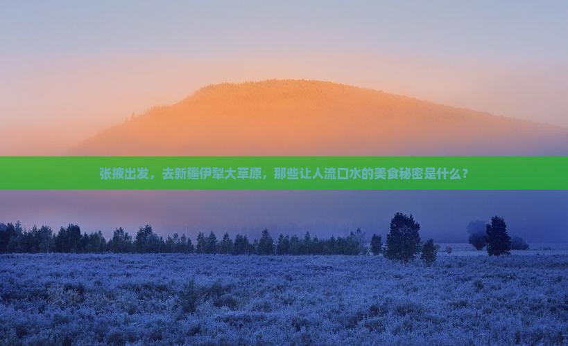 张掖到新疆伊犁大草原旅游小吃