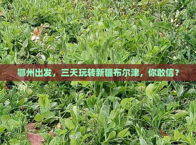 鄂州去新疆布尔津三日游