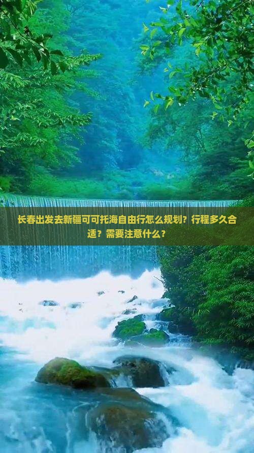 长春去新疆可可托海自由团