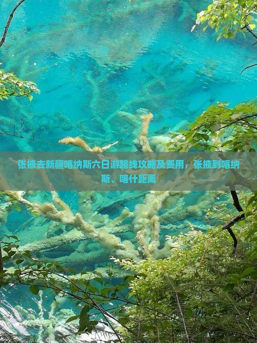 张掖去新疆喀纳斯六日游