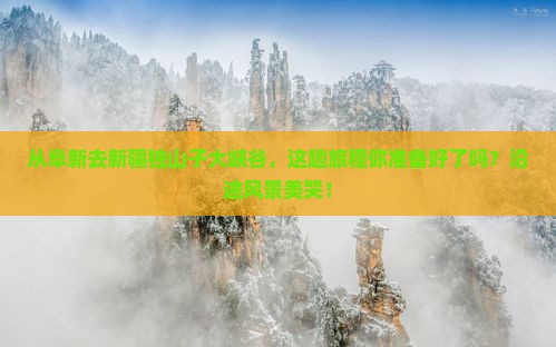 阜新到新疆独山子大峡谷景点