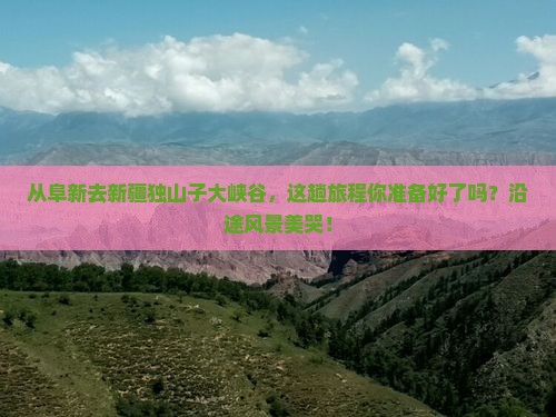 阜新到新疆独山子大峡谷景点