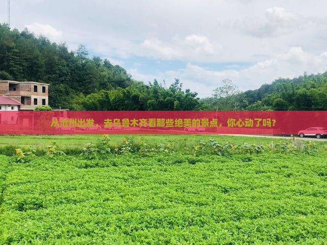 沧州去新疆乌鲁木齐景点