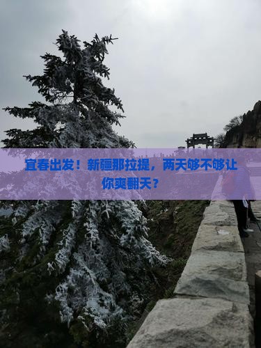 宜春去新疆那拉提二日游