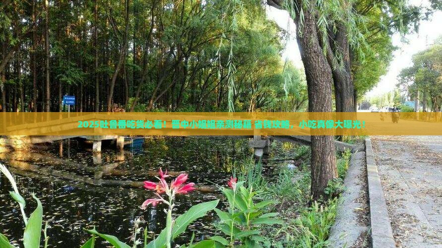 晋中去新疆吐鲁番旅游小吃