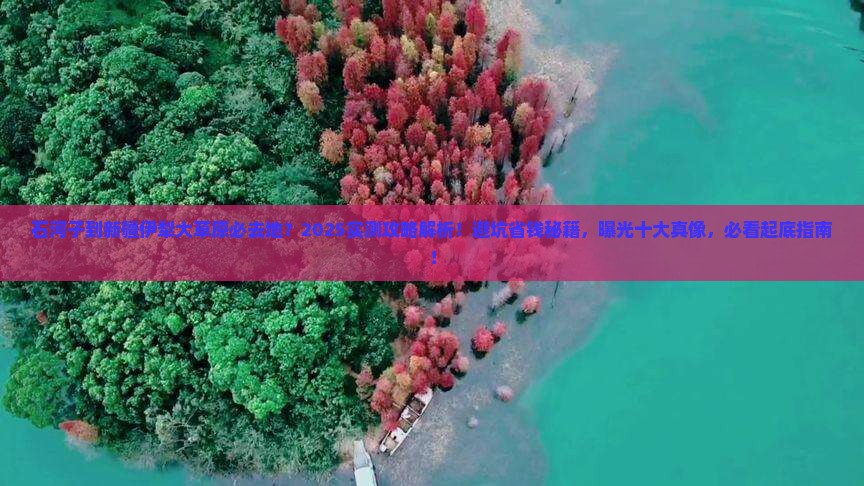 石河子到新疆伊犁大草原必去地