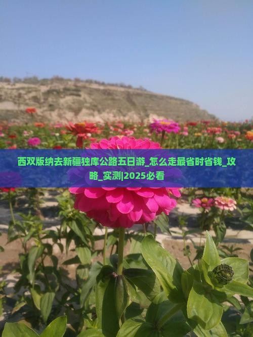 西双版纳去新疆独库公路五日游 西双版纳去新疆独库公路五日游
