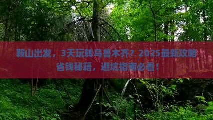 鞍山到新疆乌鲁木齐三日游