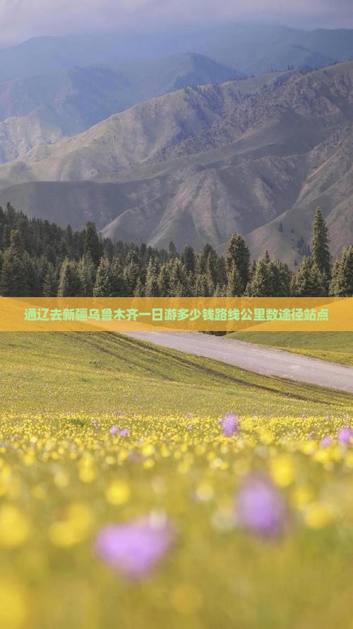 通辽去新疆乌鲁木齐一日