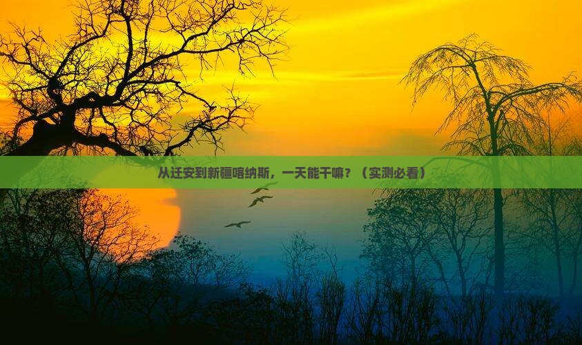 迁安到新疆喀纳斯一日